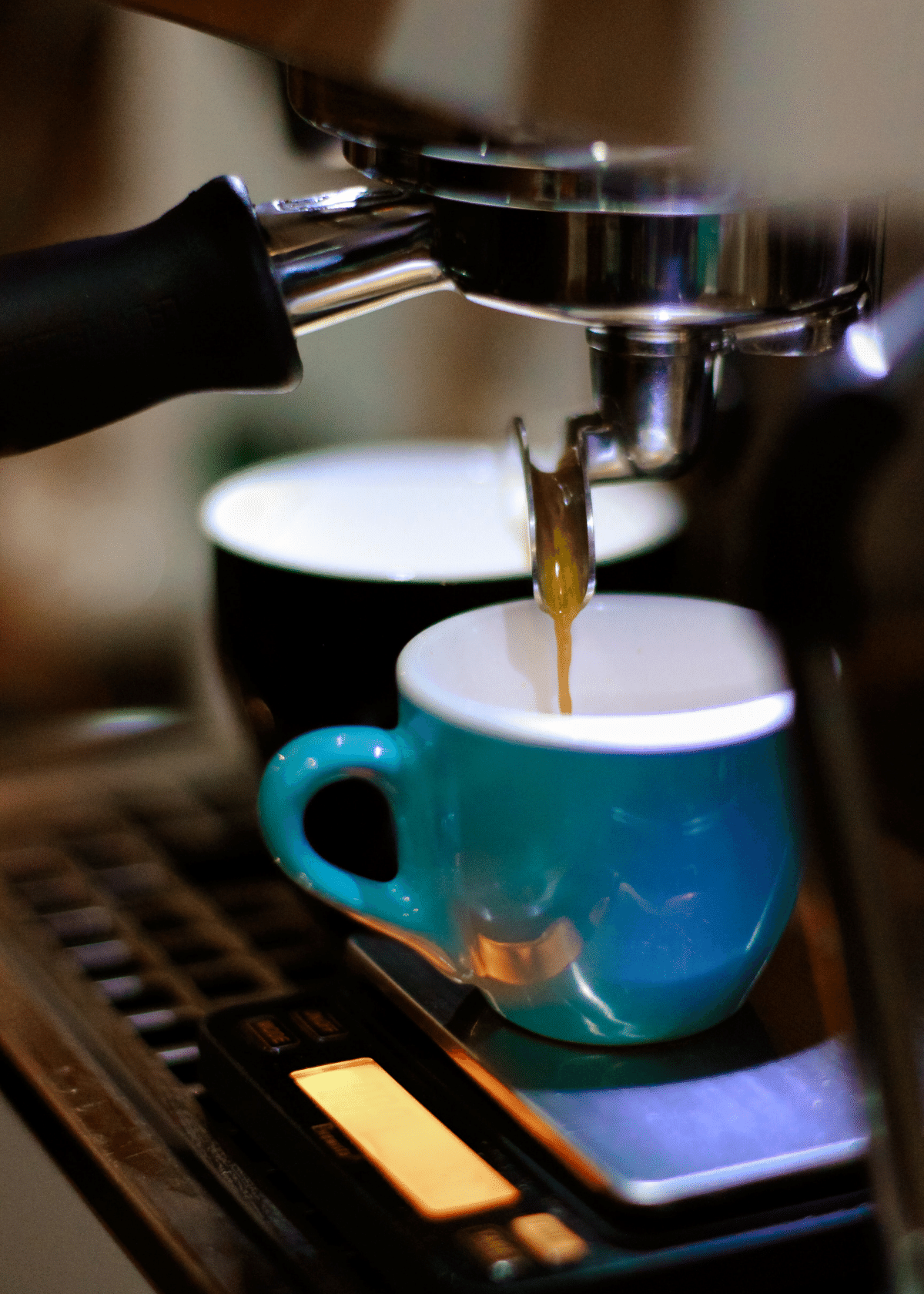 5 Best Ninja Coffee Maker Models Detailed