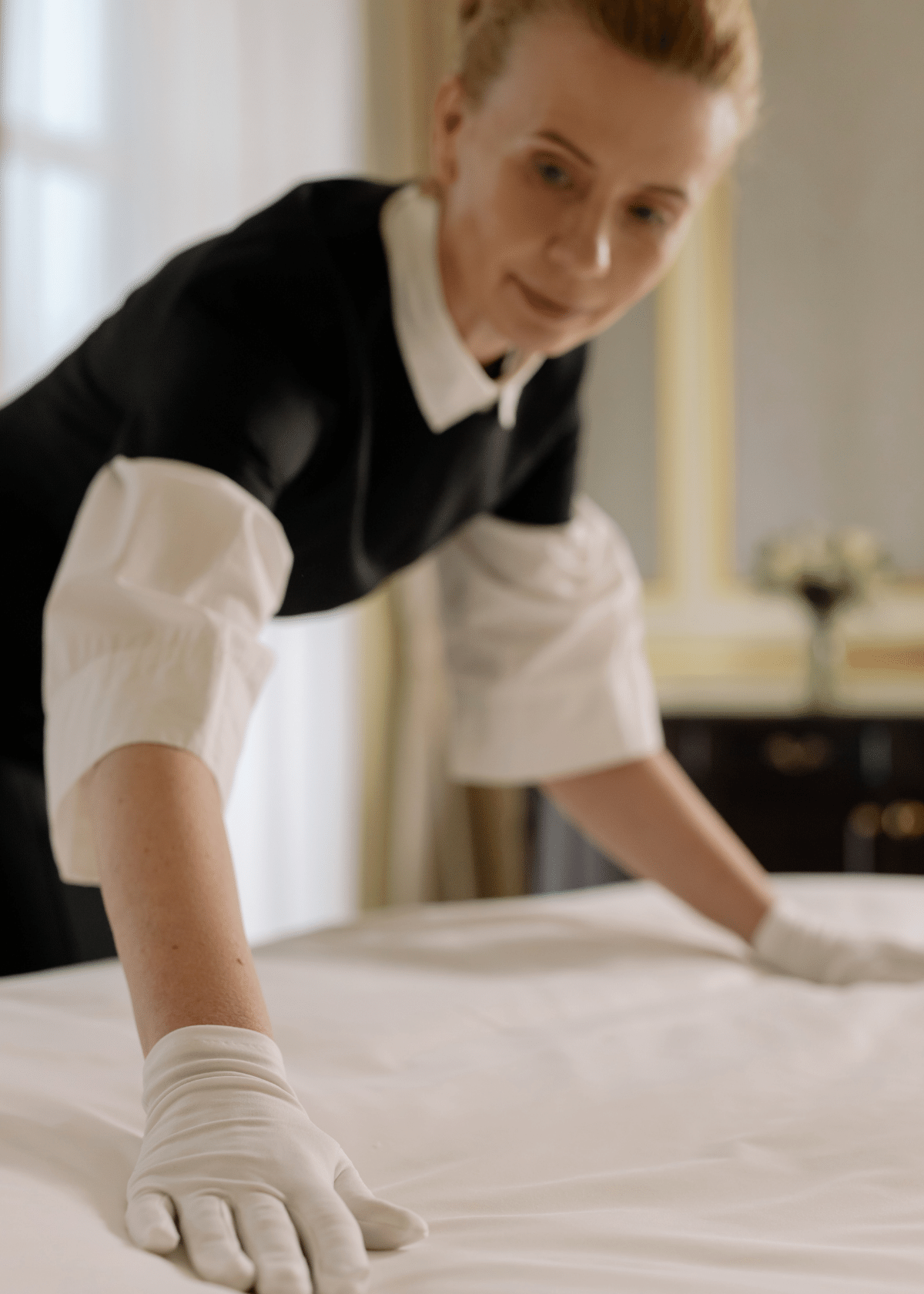 Our Top Picks Reviews On Best Steamer for Bedbugs