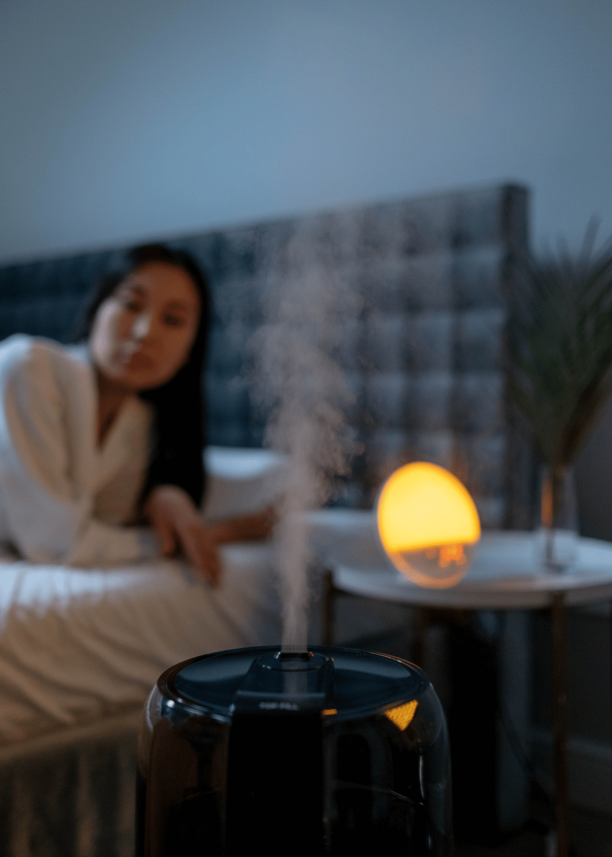 Best Air Purifier and Humidifier Combo